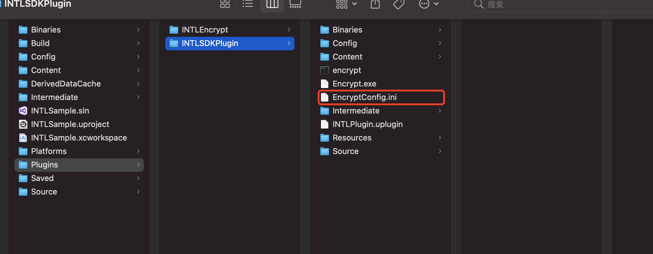 Image: UE EncryptConfig Path